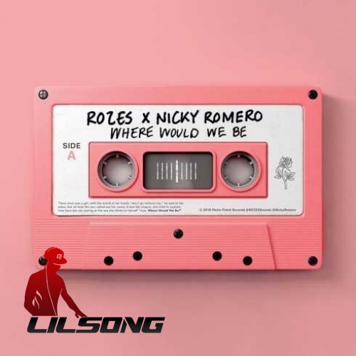 ROZES & Nicky Romero - Where Would We Be